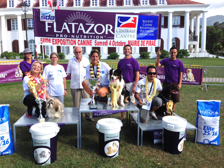 Concours canin: Elmer de l'Igloo des Sables succède à Magicmine Bullet Proof Concours canin: Elmer de l'Igloo des Sables succède à Magicmine Bullet Proof