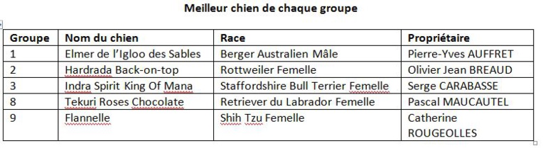 Concours canin: Elmer de l'Igloo des Sables succède à Magicmine Bullet Proof Concours canin: Elmer de l'Igloo des Sables succède à Magicmine Bullet Proof