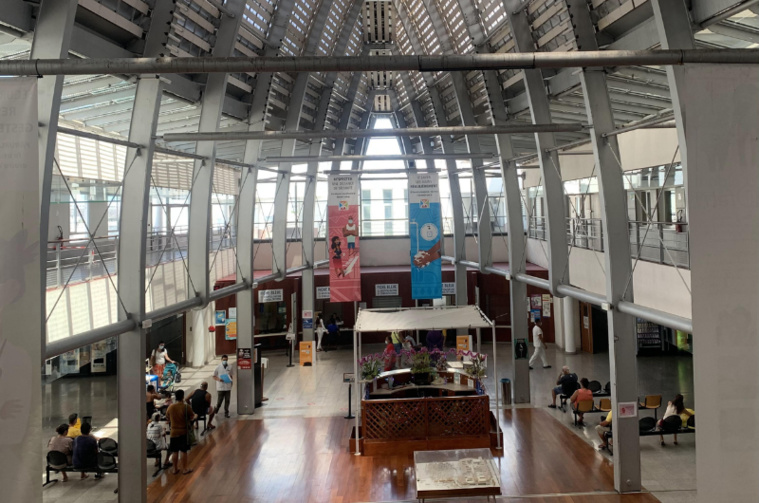 Grippe : pic probablement atteint, vigilance maintenue Grippe : pic probablement atteint, vigilance maintenue