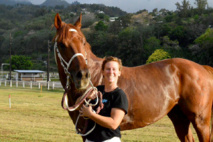 Vente de chevaux "pur sangs" et "selles" à Mataiea dimanche Vente de chevaux "pur sangs" et "selles" à Mataiea dimanche