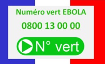 Ebola: un numéro vert 0800 13 00 00 pour le public dès samedi Ebola: un numéro vert 0800 13 00 00 pour le public dès samedi