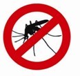 Faa'a: Précautions épidémie de Chikungunya Faa'a: Précautions épidémie de Chikungunya