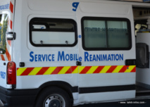 Un motard se blesse gravement après une collision avec un chien Un motard se blesse gravement après une collision avec un chien