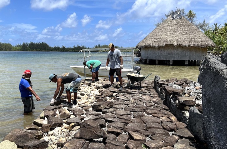 Les travaux de restauration des marae de Huahine ont démarré en décembre, après 30 ans d'interruption. ©Direction de la culture et du patrimoine.