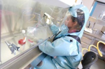 Dans un laboratoire canadien, la lutte anti-Ebola s'organise Dans un laboratoire canadien, la lutte anti-Ebola s'organise