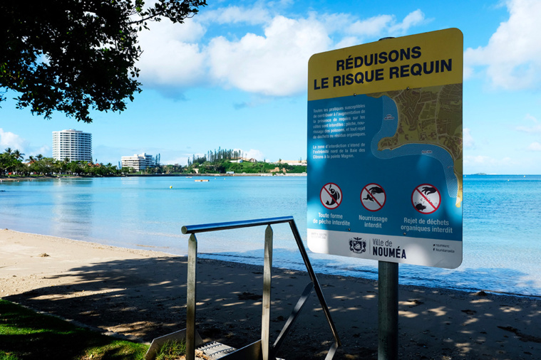 THEO ROUBY / AFP THEO ROUBY / AFP