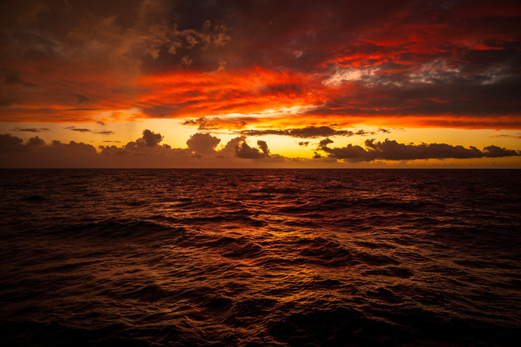 Crédit Patrick HERTZOG / AFP Crédit Patrick HERTZOG / AFP