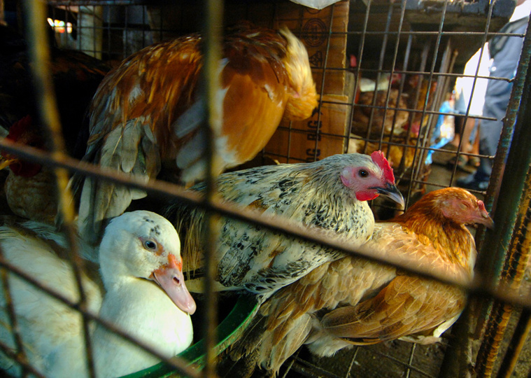 Crédit JOEL NITO / AFP Crédit JOEL NITO / AFP