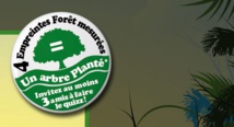 Un outil pour calculer son "empreinte forêt" Un outil pour calculer son "empreinte forêt"