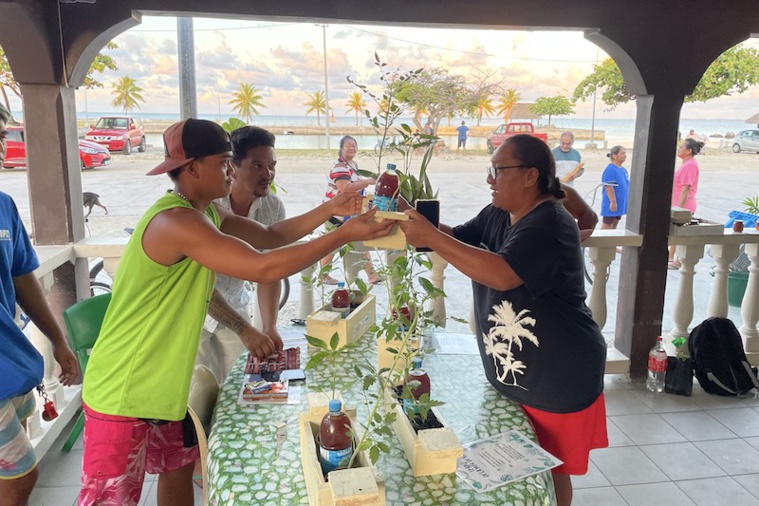 Carton plein pour le marché du terroir de Hao Carton plein pour le marché du terroir de Hao