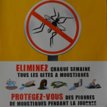 La lutte anti-vectorielle nécessite l'action de tous pour éliminer les gîtes à moustiques autour des maisons. La lutte anti-vectorielle nécessite l'action de tous pour éliminer les gîtes à moustiques autour des maisons.