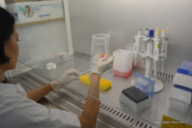 Chikungunya : le laboratoire Malardé reçoit une centaine de prélèvements par jour