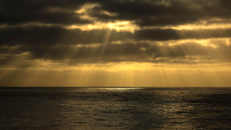 Crédit PATRICK HERTZOG / AFP Crédit PATRICK HERTZOG / AFP