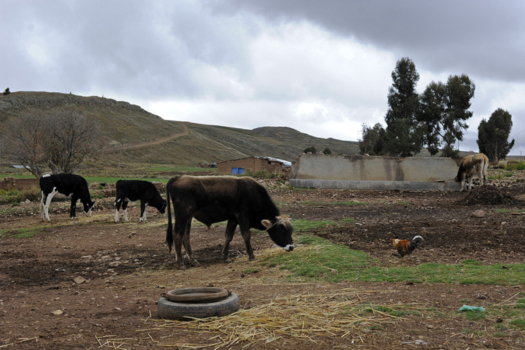 JORGE BERNAL / AFP JORGE BERNAL / AFP