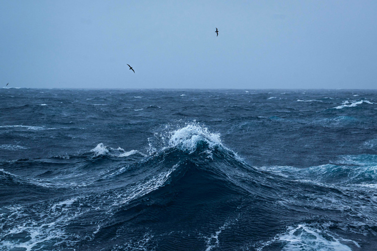 Crédit Patrick HERTZOG / AFP Crédit Patrick HERTZOG / AFP