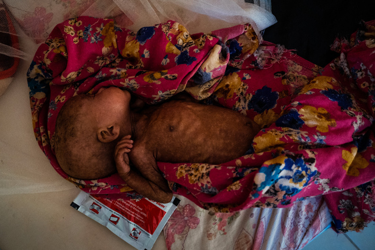 Crédit GUY PETERSON / AFP Crédit GUY PETERSON / AFP