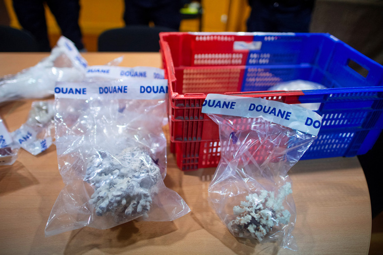 Crédit FRED TANNEAU / AFP Crédit FRED TANNEAU / AFP