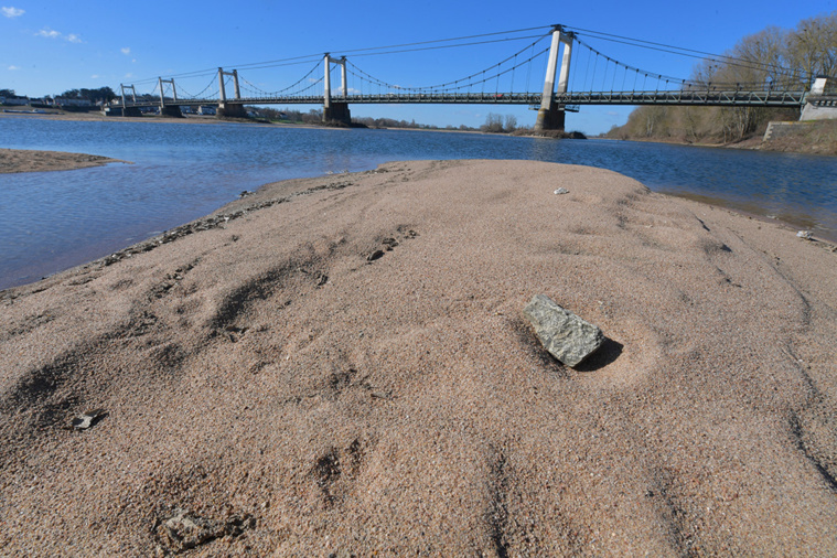 JEAN-FRANCOIS MONIER / AFP JEAN-FRANCOIS MONIER / AFP