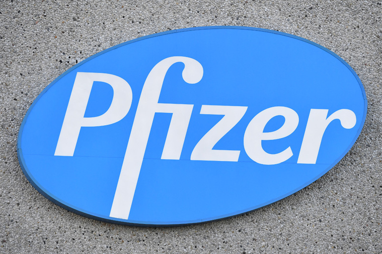 JOHN THYS / AFP JOHN THYS / AFP