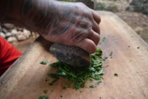 Méthode traditionnelle de préparation des rā'au Tahiti. © François Chassagne/IRD Méthode traditionnelle de préparation des rā'au Tahiti. © François Chassagne/IRD