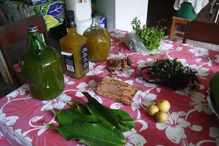 Ingrédients pour le rā'au he'a, traitement préventif qui vise à lutter contre l’accumulation des impuretés. © François Chassagne/IRD Ingrédients pour le rā'au he'a, traitement préventif qui vise à lutter contre l’accumulation des impuretés. © François Chassagne/IRD