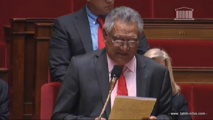 Jonas Tahuaitu a été le plus critique dans son analyse du budget 2015 pour l'outremer. Il a d'ailleurs voté contre alors que tous les autres députés UDI ont voté pour.