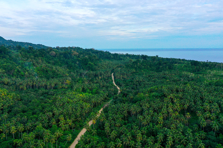 ADEK BERRY / AFP ADEK BERRY / AFP