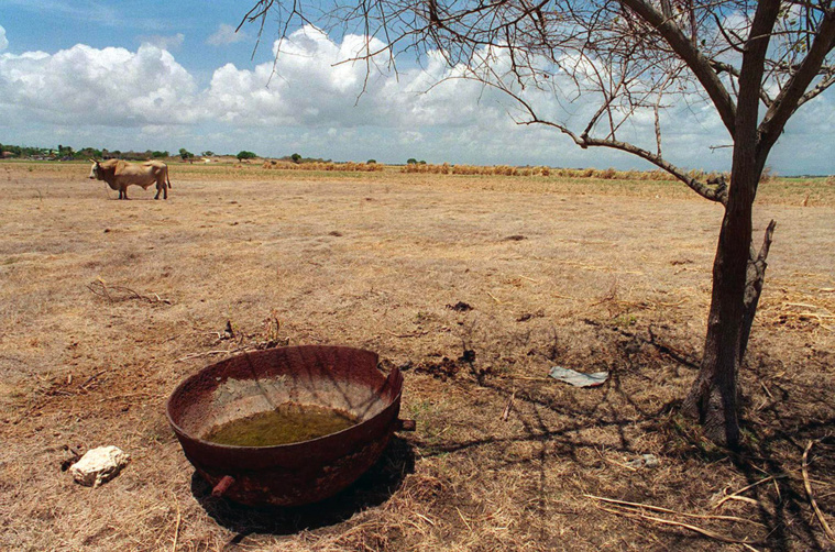 Photo d'illustration. DOMINIQUE CHOMEREAU-LAMOTTE / AFP Photo d'illustration. DOMINIQUE CHOMEREAU-LAMOTTE / AFP
