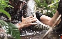 Avalé vivant par un anaconda, pour la télévision