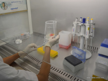 La technique d'identification du virus du zika  a été mise en place en 2011 par le laboratoire Malardé de Polynésie française. Mal connu, peu décrit ce virus avait été la cause d'une première épidémie en Micronésie, en 2007, avant de toucher la Polynésie quatre ans plus tard.