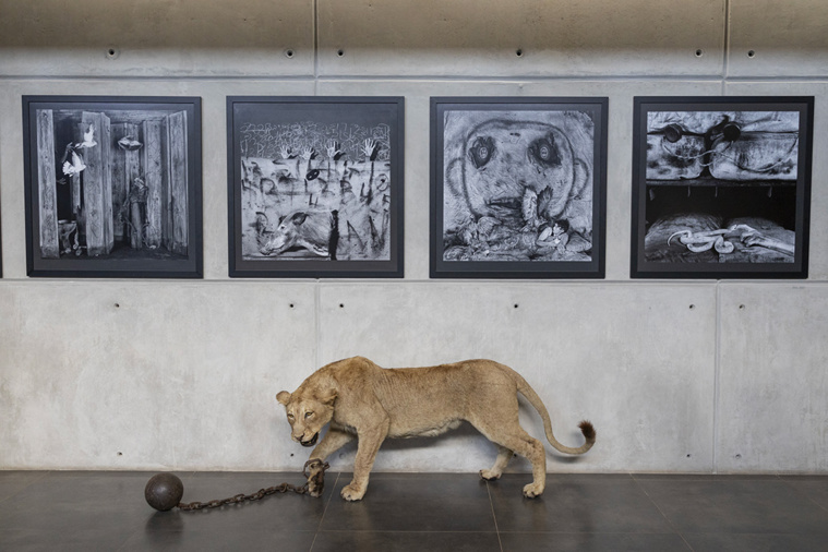 Wikus de Wet / AFP Wikus de Wet / AFP