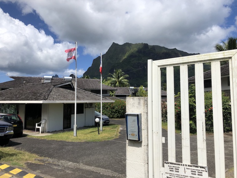 À Moorea, coups de machette sur fond de trafic de paka À Moorea, coups de machette sur fond de trafic de paka