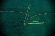 Google s'engage dans la lutte contre la pêche illégale