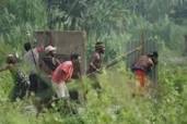 Affrontements intertribaux en Papouasie-Nouvelle-Guinée : au moins 25 mort, selon les derniers bilans