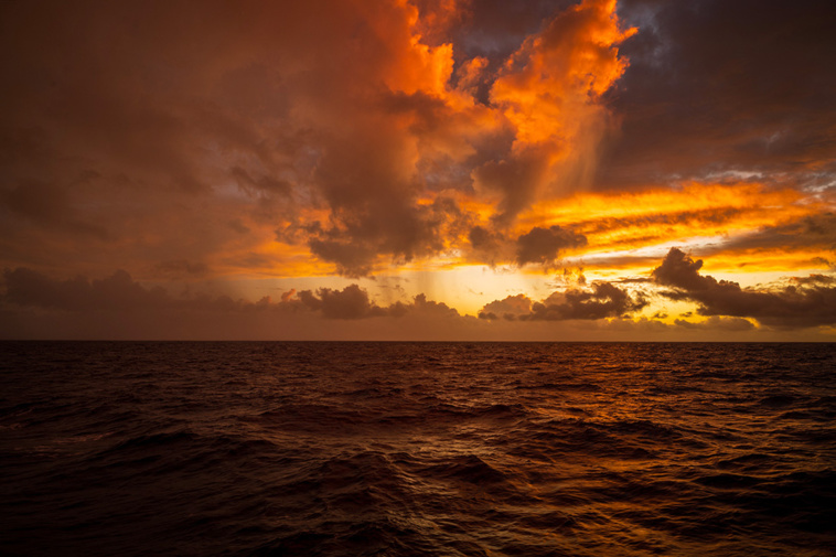 Patrick HERTZOG / AFP Patrick HERTZOG / AFP