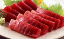 Le thon rouge du Pacifique victime des amateurs de sushis Le thon rouge du Pacifique victime des amateurs de sushis