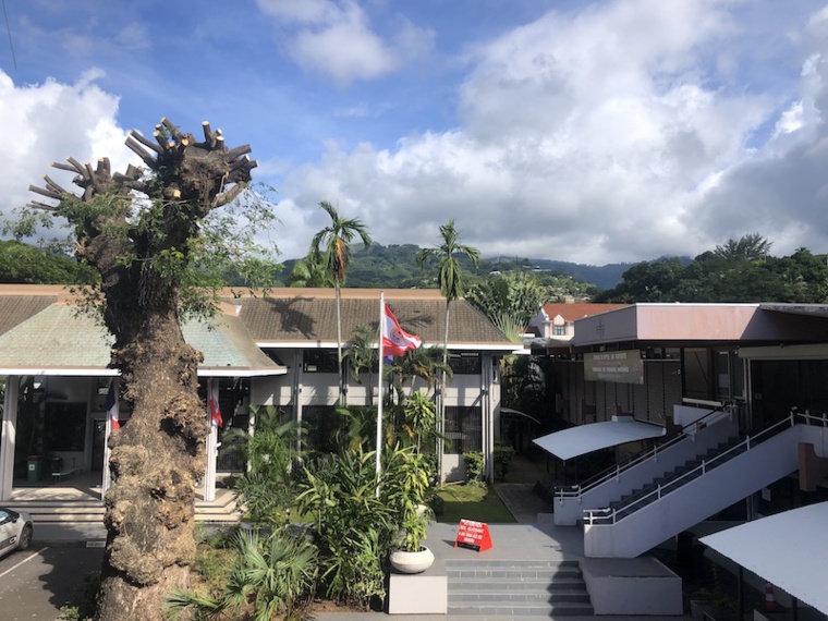 Un an requis pour la mort d'un scootériste à Tiarei Un an requis pour la mort d'un scootériste à Tiarei