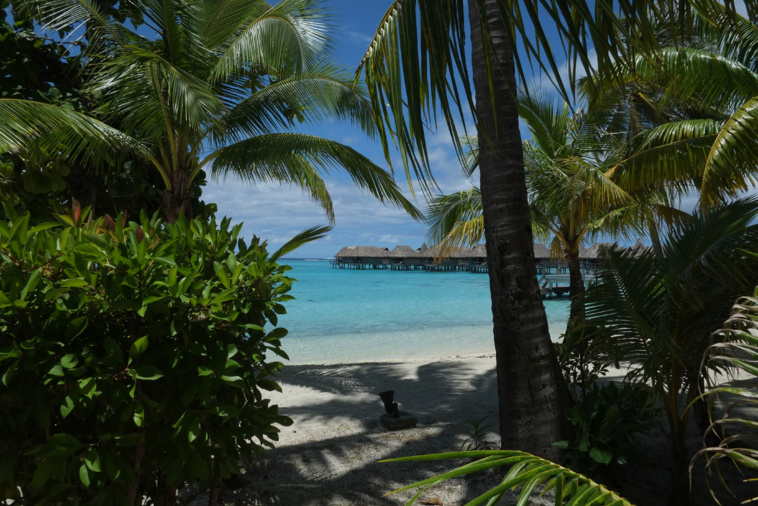 Crédit photo : Greg Boissy. Crédit photo : Greg Boissy.