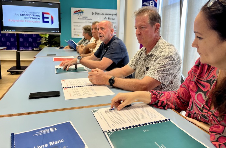 Le Medef en campagne avec son Livre Blanc Le Medef en campagne avec son Livre Blanc