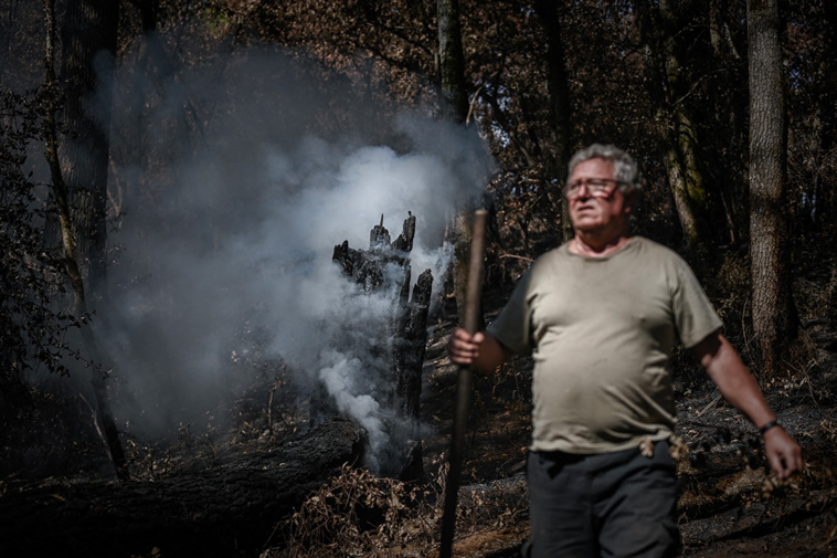 PHILIPPE LOPEZ / AFP PHILIPPE LOPEZ / AFP