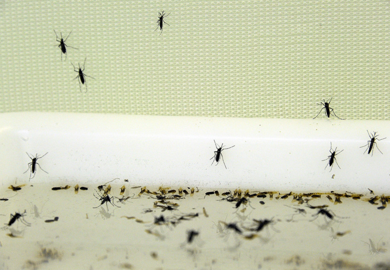 Crédit PASCAL GUYOT / AFP Crédit PASCAL GUYOT / AFP