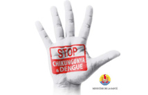 Chikungunya : l’épidémie est toujours en forte progression (11 229 cas) Chikungunya : l’épidémie est toujours en forte progression (11 229 cas)