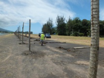 i teie mahana, tē 'ōpua nei te 'oire i te rave tā na mau fa'anahora'a huru rau i teienei vāhi.