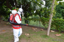 Zones de traitement contre les moustiques, du 26 au 28 novembre Zones de traitement contre les moustiques, du 26 au 28 novembre