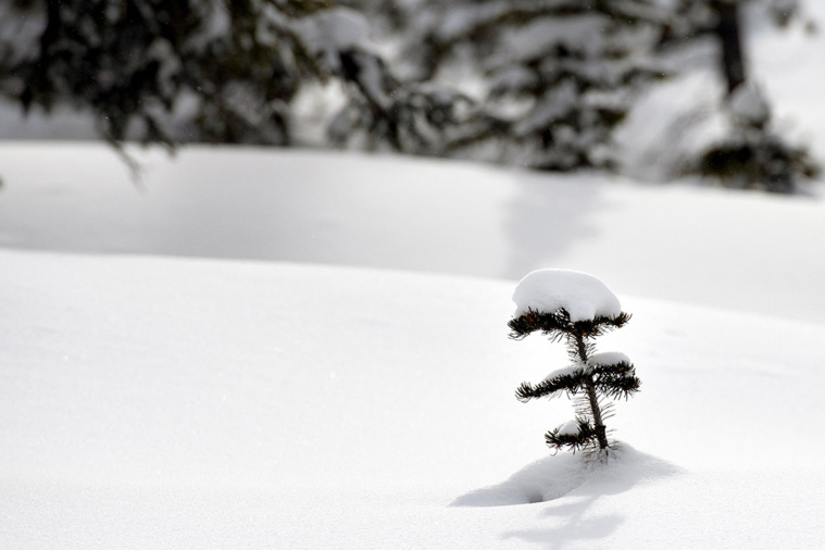 Crédit Jason Connolly / AFP