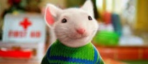 Comment "Stuart Little" a permis de retrouver un tableau hongrois disparu
