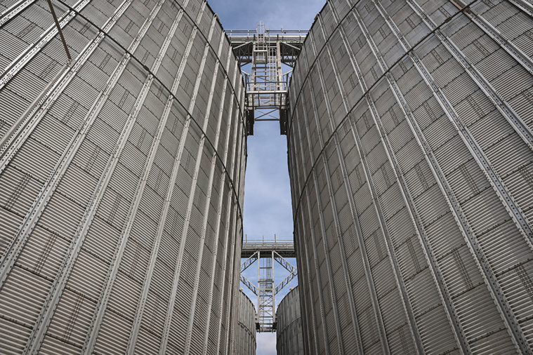 Crédit Daniel MIHAILESCU / AFP