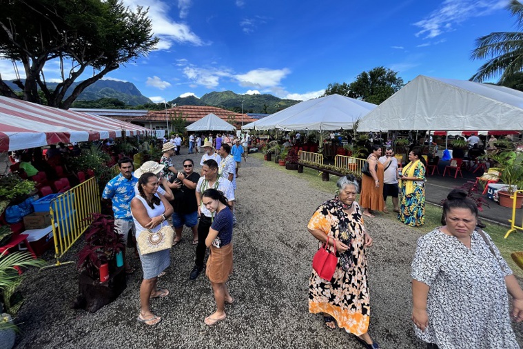 © Antoine Samoyeau © Antoine Samoyeau
