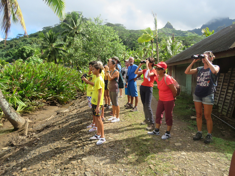 Une formation sur les oiseaux a été organisée le week-end dernier sur le site de Criobe à Opunohu.