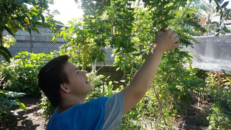 Crédit photo : Stéphane Marandin. Crédit photo : Stéphane Marandin.